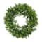 22&#x22; Boxwood Wreath by Ashland&#xAE;